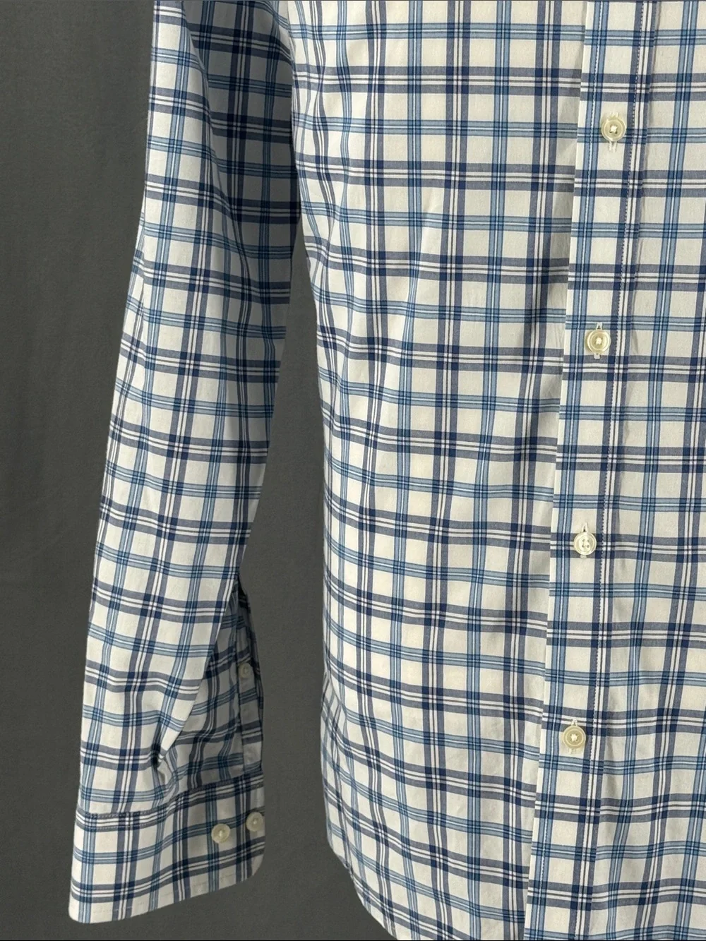Banana Republic Blue & White Plaid Button-Up Shirt